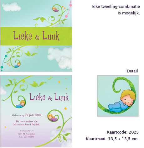 Detail tweeling